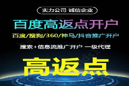 SEO百度推广策略：成功案例解析